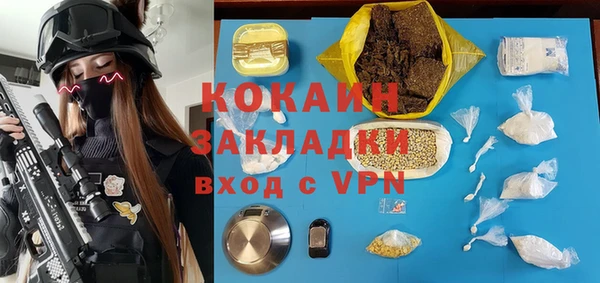 соль ск Алзамай