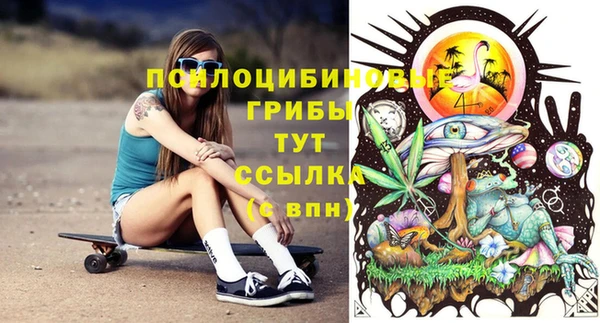 спиды Алексин