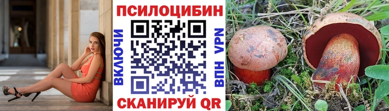 Псилоцибиновые грибы GOLDEN TEACHER  Купить где  Балабаново 